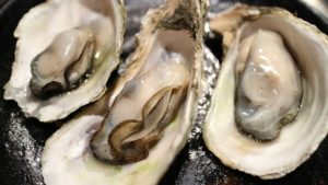 oyster 牡蠣