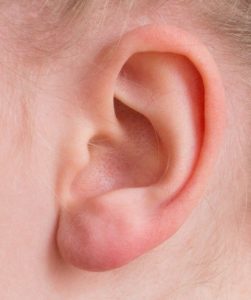 ear 耳