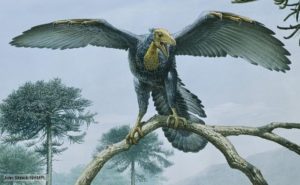 archaeopteryx 始祖鳥